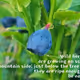 arjantupan.lens-Collect-86
