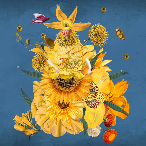 The Spring Token