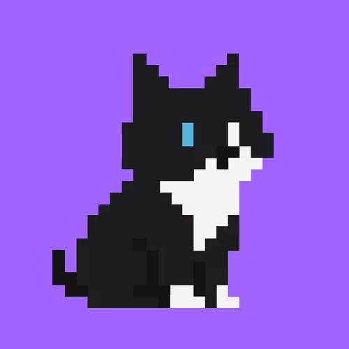 PixelKittyCollection