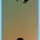 61135055230235144686216719305209227717684302203875247035863324873874108055579