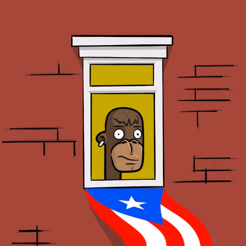 Edificio Web3 #503