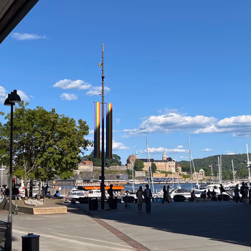 diogor.lens-Collect-1248