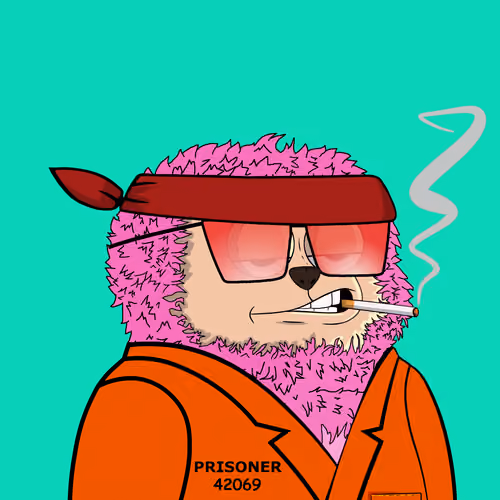 Chonky Y00t #1587