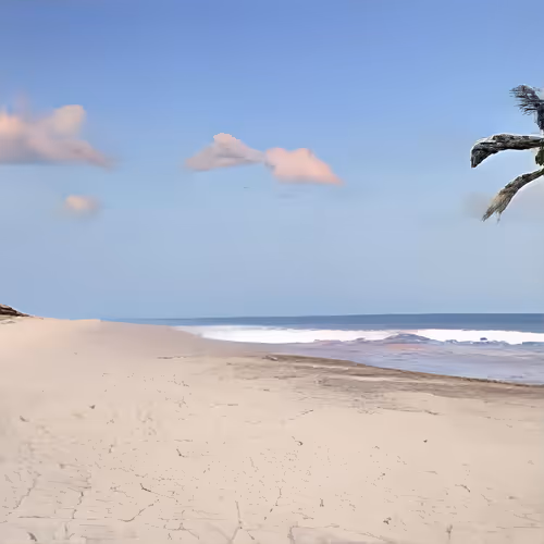 Item #115378233106269562062893601041301703577834123166252020502745166042004839202849 Media