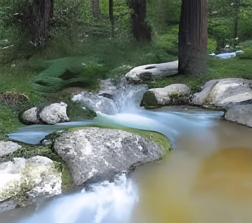 Item #115378233106269562062893601041301703577834123166252020502745166042004839202822 Media