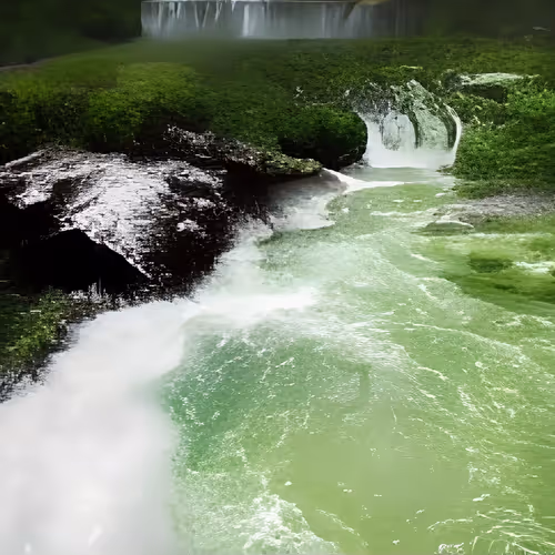 Item #115378233106269562062893601041301703577834123166252020502745166042004839202832 Media