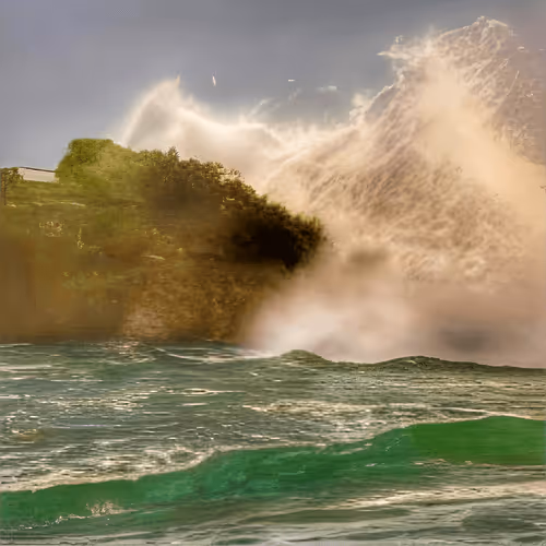 Item #115378233106269562062893601041301703577834123166252020502745166042004839202855 Media