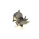 379000037
