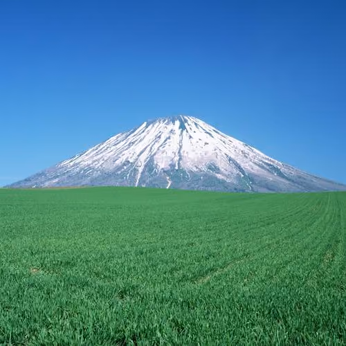 Mount Fuji