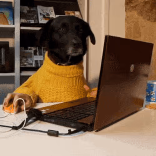 NFT Badge Campaign by luduvigo