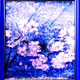YO-ZAKURA