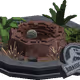 24462