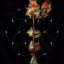 Garden of Innocence - #1206