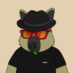 Roo #3575