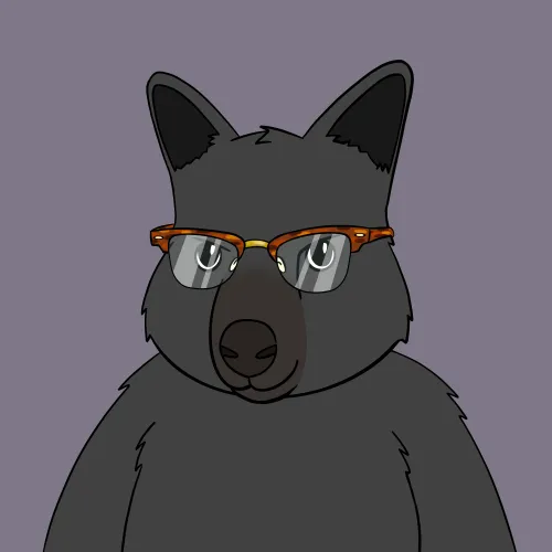 Roo #1585