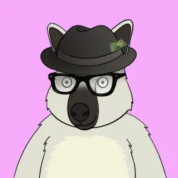 Roo #4748