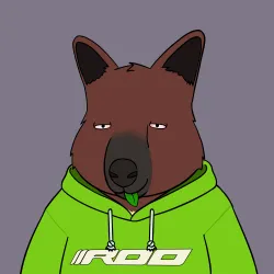 Roo #3899