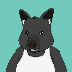 Roo #1080