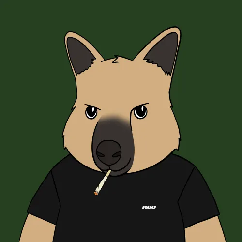 Roo #1537
