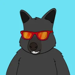 Roo #1120