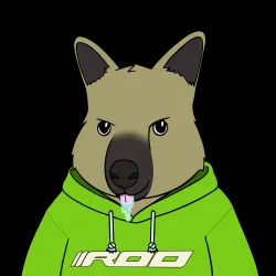 Roo #3463