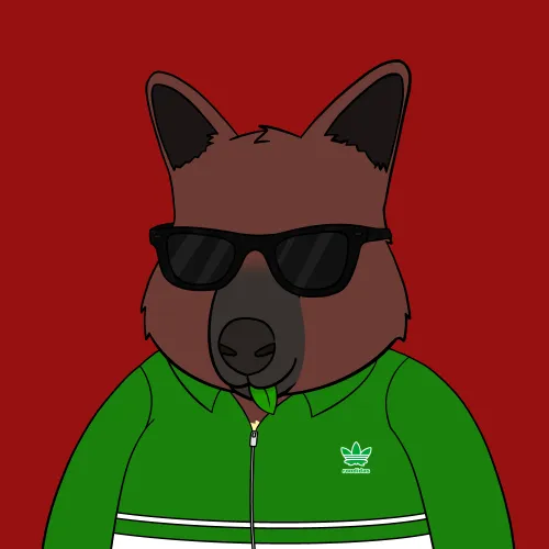 Roo #2104