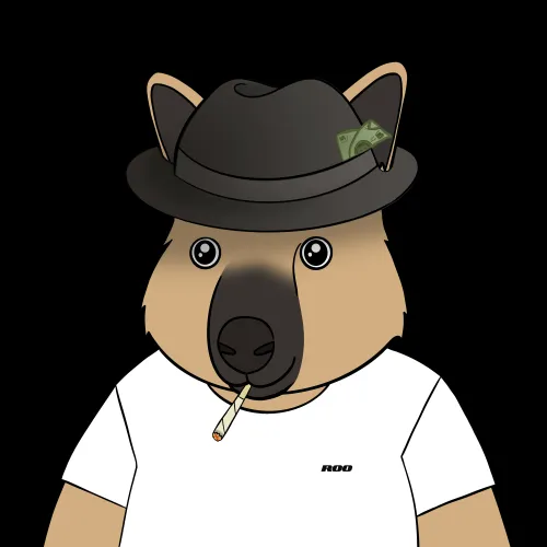 Roo #4107