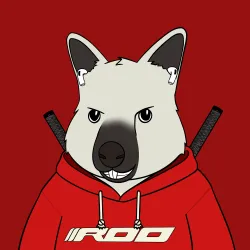 Roo #4582