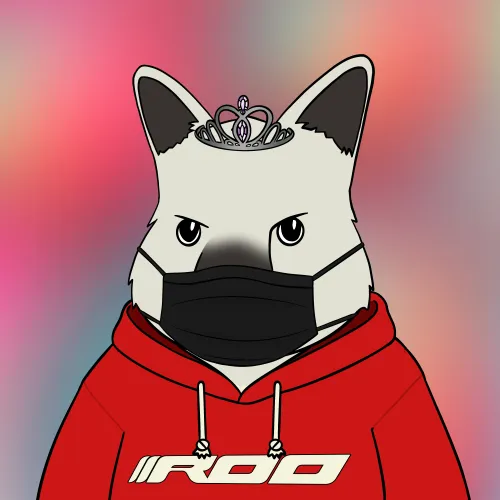 Roo #2406
