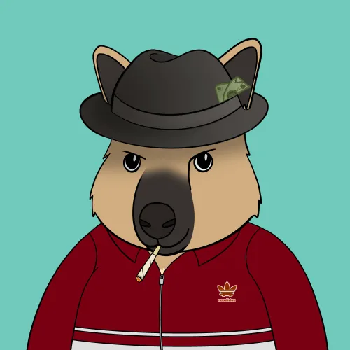 Roo #4720