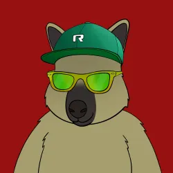 Roo #3540