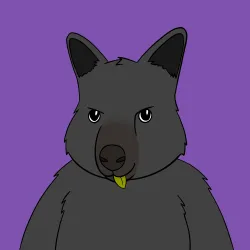 Roo #4128