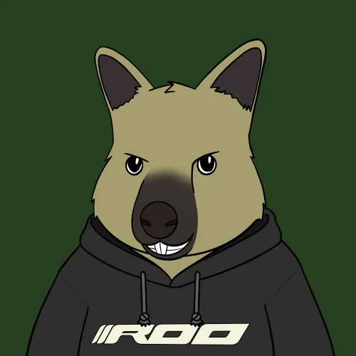 Roo #4869
