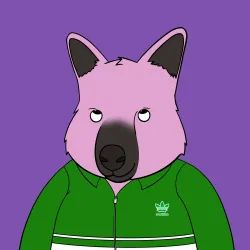 Roo #4907