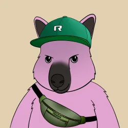 Roo #872