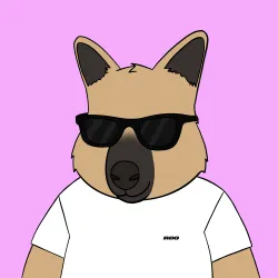 Roo #557