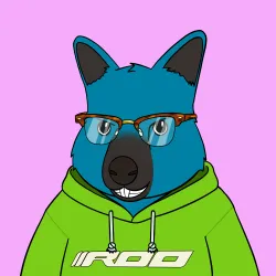 Roo #4605
