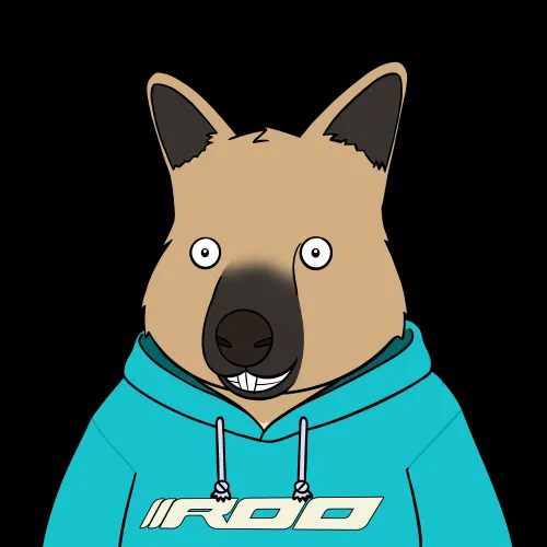 Roo #603