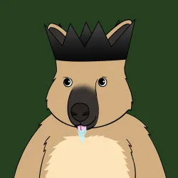 Roo #5186