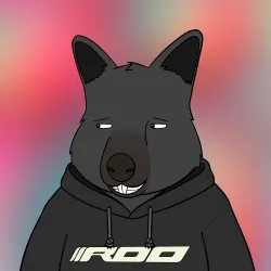 Roo #3716