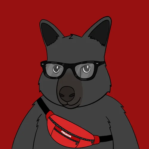 Roo #4307