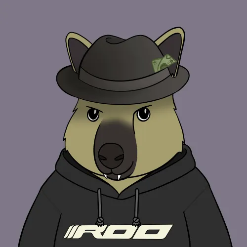 Roo #1573