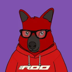 Roo #4053