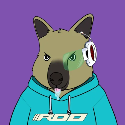 Roo #2900
