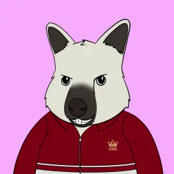 Roo #19