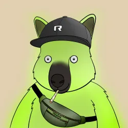 Roo #3855