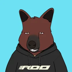 Roo #2728