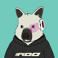 Roo #4275
