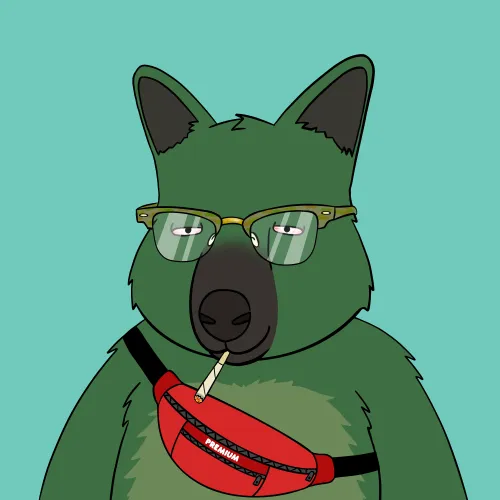 Roo #1583