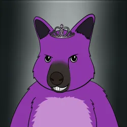 Roo #3252